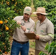 Acompanhamento agronômico