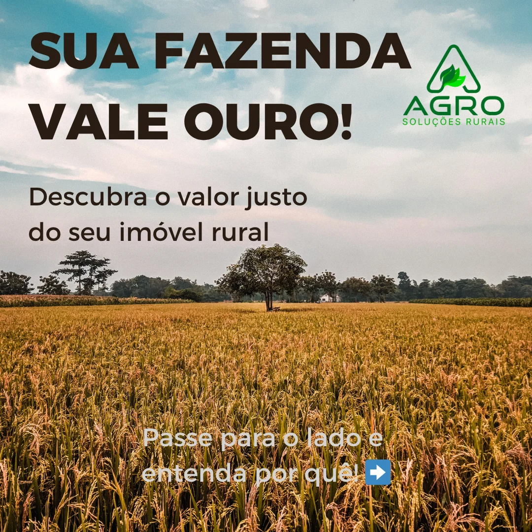 Avaliação de chácara
