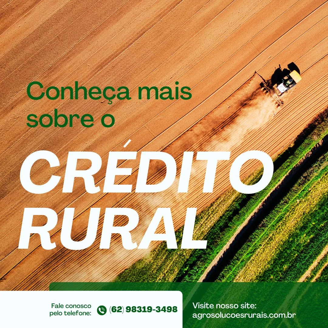 Projeto para financiamento de pecuária