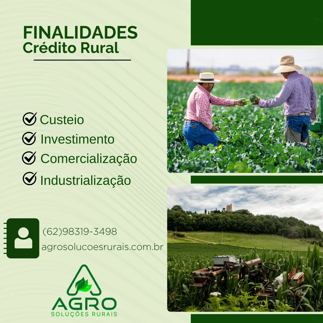 Projeto para financiamento de pecuária